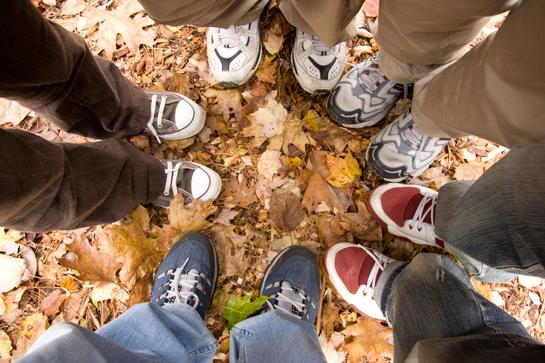 Verbreitung (Gewicht) Verbreitung (Gewicht)
